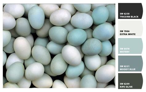 Robins Egg Blue Inspired Color Paint Colors From Sherwin Blue