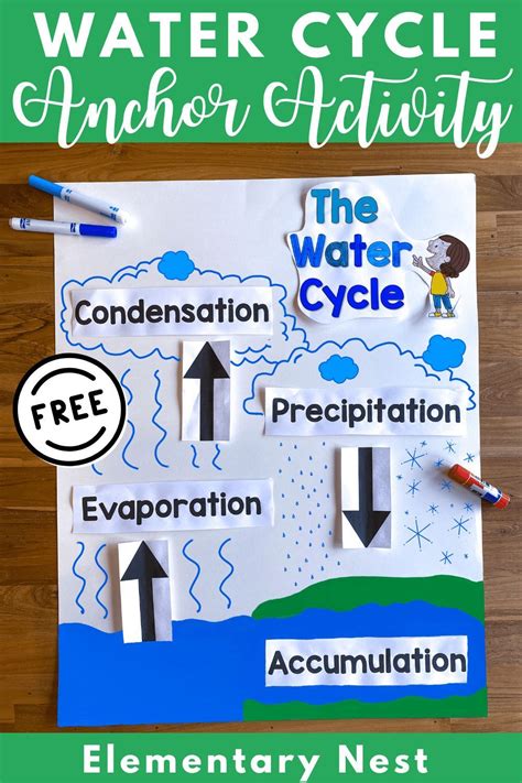 Water Cycle Anchor Chart Freebie In 2021 Weather Science Activities
