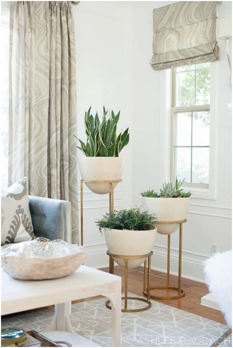 12 Creative Ideas How To Display Your Indoor Plants