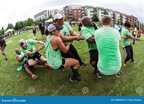 Team Struggles Pulling Roge In Tug Of War Contest Foto De Stock Editorial Imagem De Macho