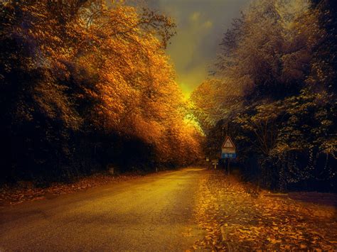 Autumn Road Road Country Roads Autumn