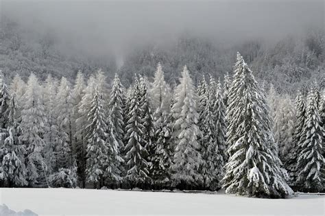 Free Image On Pixabay Winter Scene Mountain