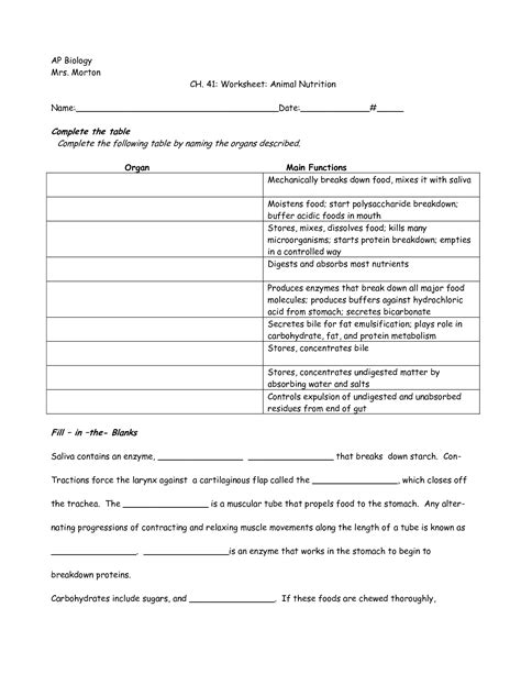 13 Best Images Of Nutrition Worksheets For 4th Grade 5th