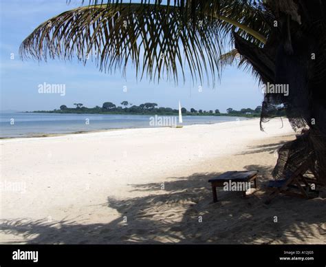 View Of A Beach On Bulago Island In Lake Victoria Uganda Stock Photo