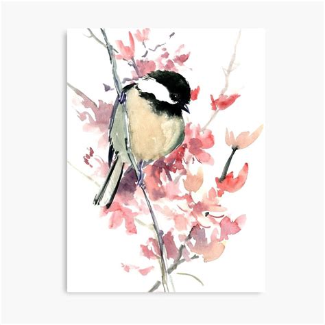 Chickadee And Cherry Blossom Canvas Print By Surenart Cherry Blossom