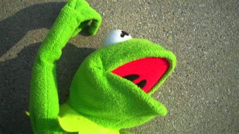 We did not find results for: Kermit the Frog Wallpaper (53+ images)