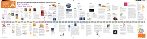 A Timeline Of Innovations In Biotechnology Infographic