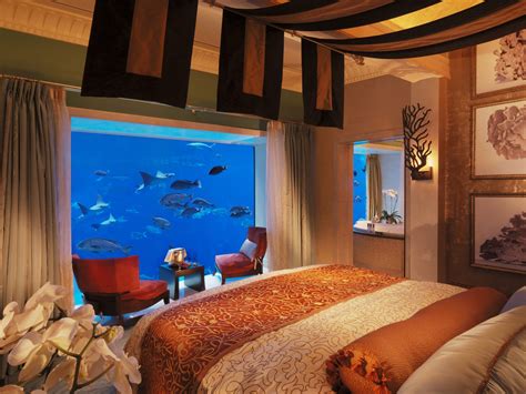 Mostafa sharaf who has been so fri. 11 Coolest Underwater Hotels in the World - Photos - Condé ...