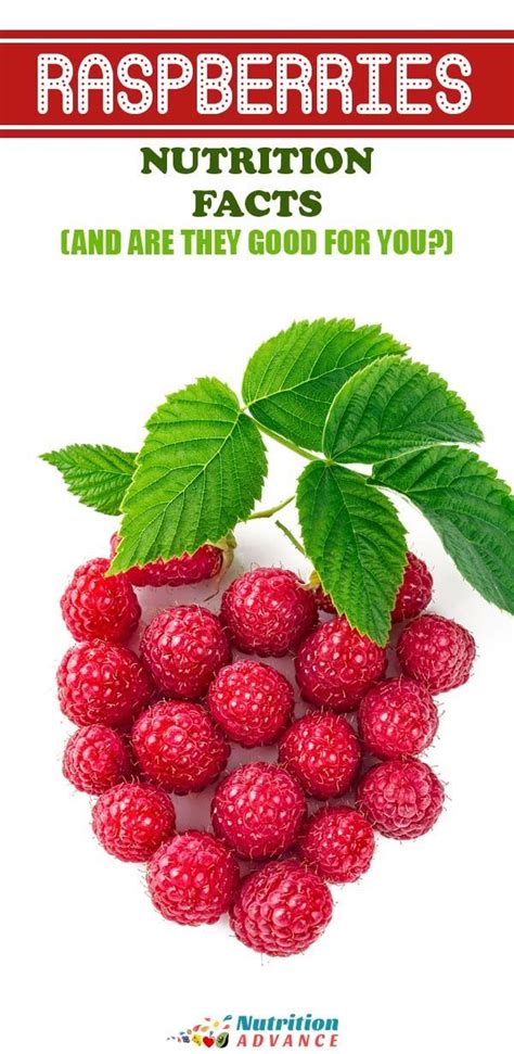 7 Health Benefits Of Red Raspberries Raspberry Nutrition Raspberry