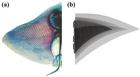 Jmse Free Full Text A Manta Ray Robot With Soft Material Based