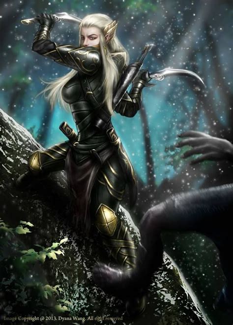 Black Rose Assassin Armor Female Elf Fantasy Art