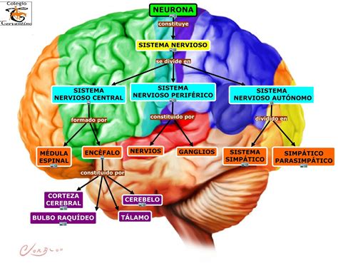 Procesos PsicolÓgicos Mind Map