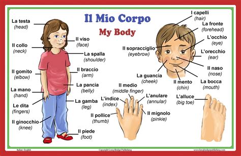 Italian Language School Poster Italian Words About Parts