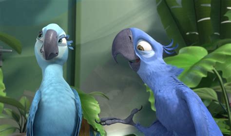 Blue Macaw Parrot That Inspired Rio Is Now Officially Extinct In The