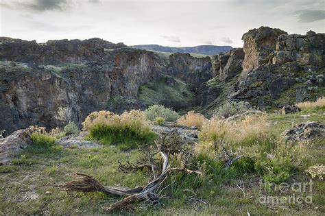 Succor Creek Canyon Photograph By Idaho Scenic Images Linda Lantzy