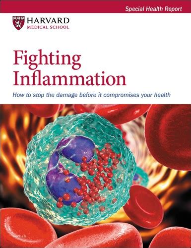 Understanding Inflammation Harvard Health