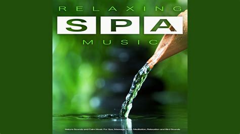 Spa Music And Nature Sounds Youtube