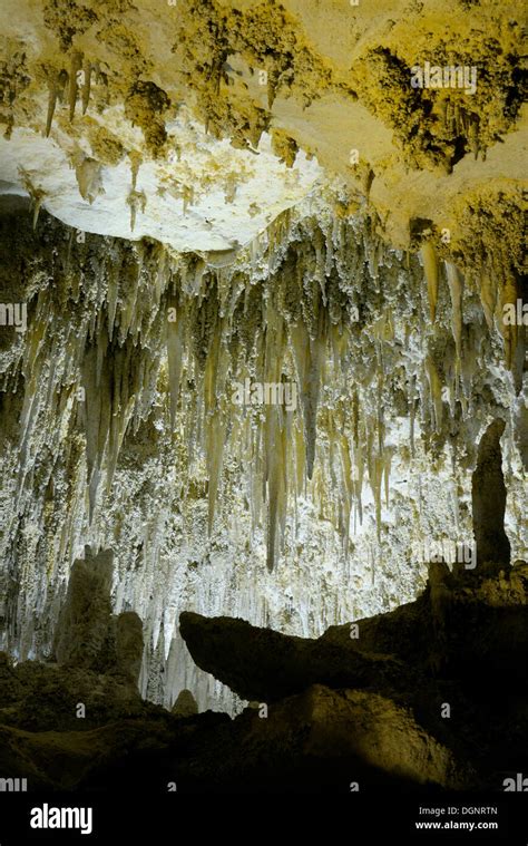 Stalagmites And Stalactites In The Big Room Carlsbad Caverns National