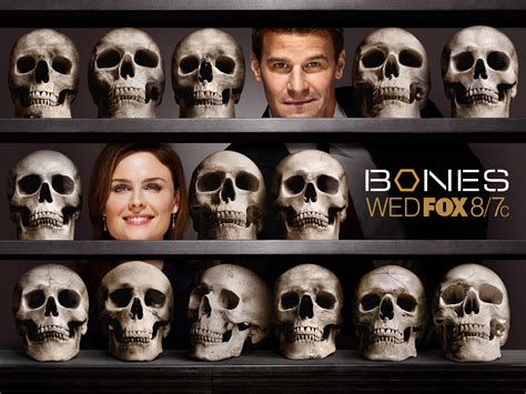 Temperance bones brennan and cocky f.b.i. Bones - Television Wallpaper (8787008) - Fanpop