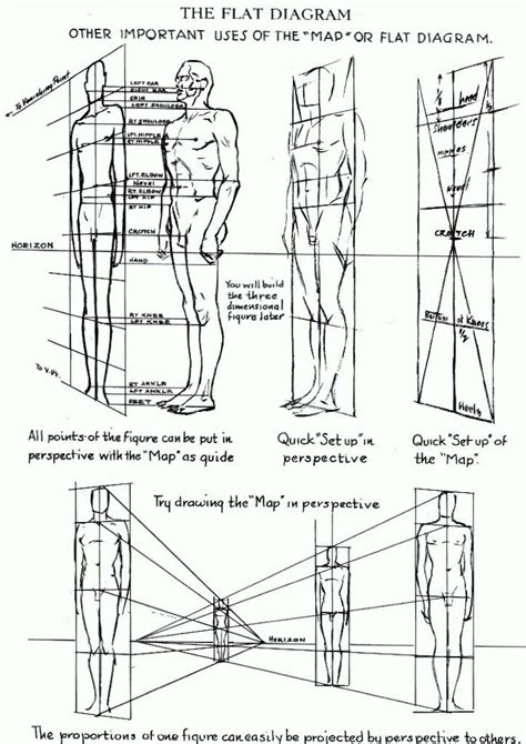 Proportions Of The Human Figure How To Draw The Human Figure In The Correct Proportions