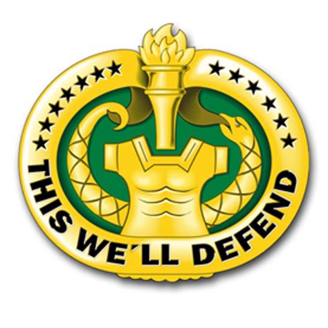 55 Inch Army Drill Sergeant Badge Gold Vinyl Transfer Decal