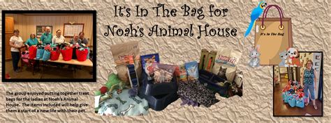 Its In The Bag For Noahs Animal House Seniors To The Rescue