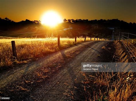 Sun Over Wheat Field With A Dirt Road And Fence High Res Stock Photo
