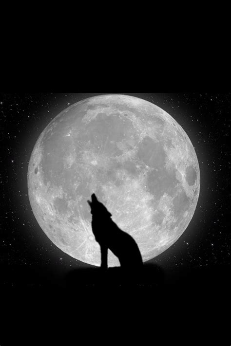 Amoled phone wallpapers top free backgrounds wolf wallpaper amoled. iphone wallpaper pics | one wolf howling at a full moon ...