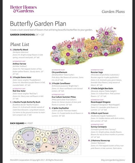 Butterfly Garden Zone 4 Garden Plant
