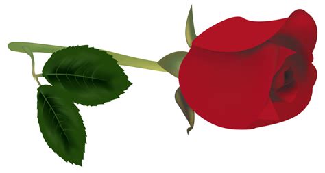 Red Rose Bud PNG Clipart