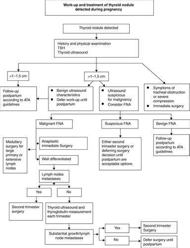 Guidelines Of The American Thyroid Association For The Diagnosis And Management Of Thyroid
