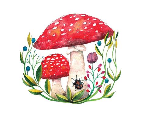 Mushrooms By Barbara Szepesi Szucs Watercolor Illustration Mushroom