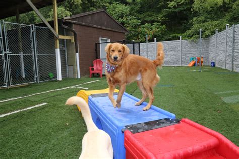 Providing the best service and care period. Natrona Heights | Pittsburgh Paws Pet Resort