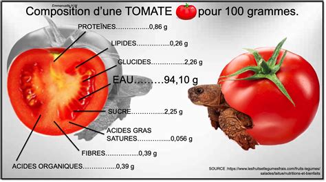 Composition Des Légumes Salade Tomate Concombre Endive Carotte