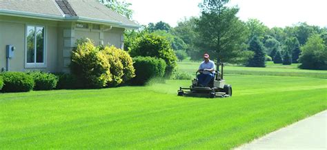 Who Is The Best Lawn Care Service