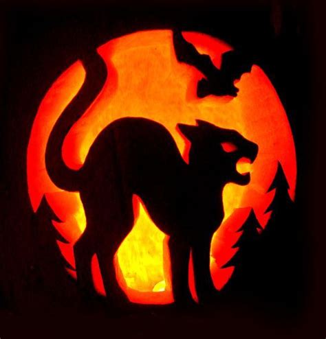 If Youre Looking For Some Cat Themed Jack O Lantern Ideas Or You Just