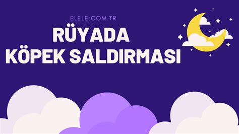 KÖPEK SALDIRMASI Görmek Rüya Tabiri: Rüyada Köpek Saldırması Ne Anlama