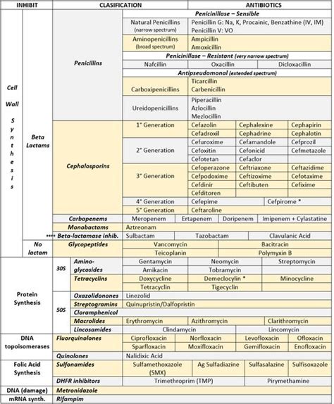 Antibiotic Classification By Mechanism Of Action Cell Grepmed