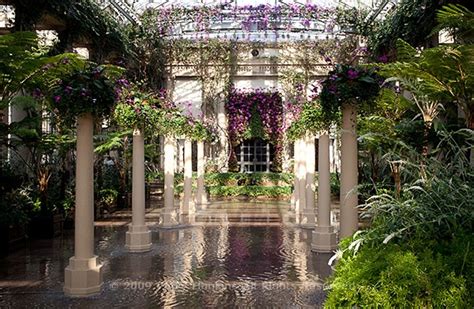 Orchid Extravaganza At Longwood Gardens Beautiful Flower Pictures Blog