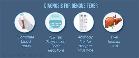 Dengue is transmitted via the bite of mosquitoes that carry the viruses. Dengue and Dengue Fever - Symptoms, Causes, Diagnosis ...