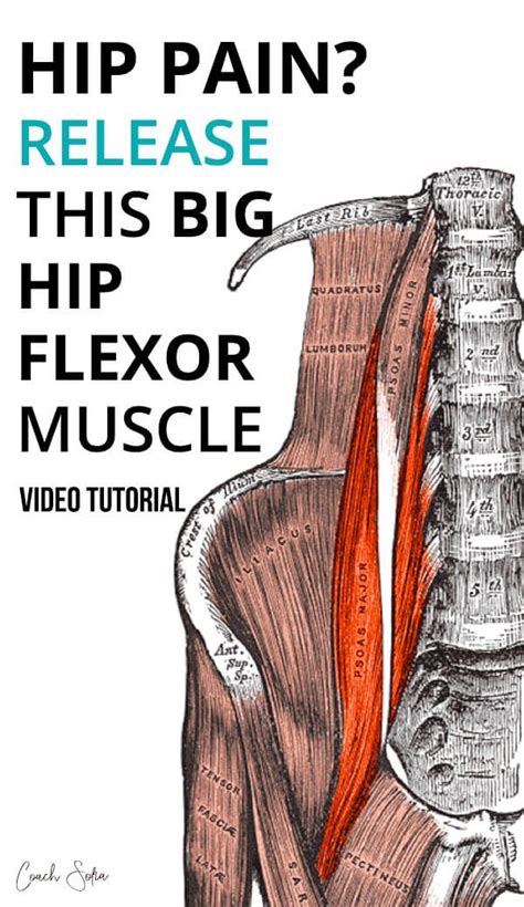 How To Get Immediate Psoas Pain Relief Hip Flexor Hip Flexor Pain