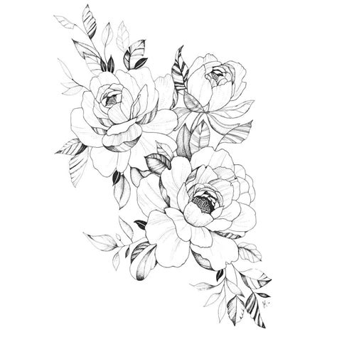 Ink Outline Peonies Drawn In Tattoo Style Peony Drawing Rose Drawing