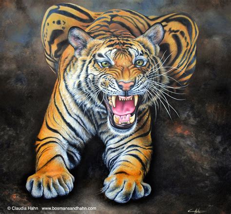 Large Square Print Dont Come Any Closer Tiger Etsy Tiger
