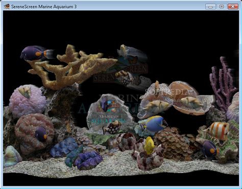 Download Marine Aquarium 30