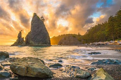 Olympic National Park Itinerary 1 3 Days And Tips For Planning Your Visit