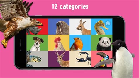 100 Animals Words For Babies And Toddlers School Edition By Bigcleverlearning