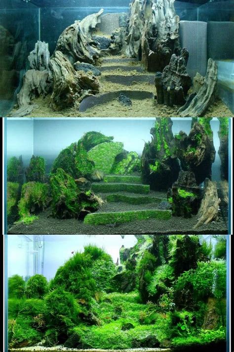 Ada designs and develops products of aquarium, lighting and co2 supply system to propose nature aquarium where tropical fish swimming in densely. Breathtaking 100 Aquascape Ideas https://meowlogy.com/2017 ...