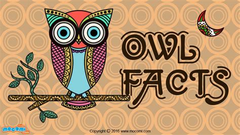 15 Fun Facts About Owls Gk For Kids Mocomi Owl Facts Owl Facts
