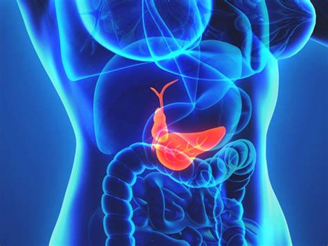 Gallbladder Removal Purpose Risks And Procedure