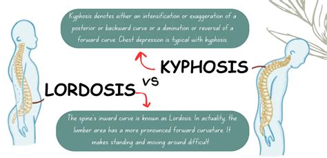 Kyphosis Vs Lordosis Who Wins Health And Fitness